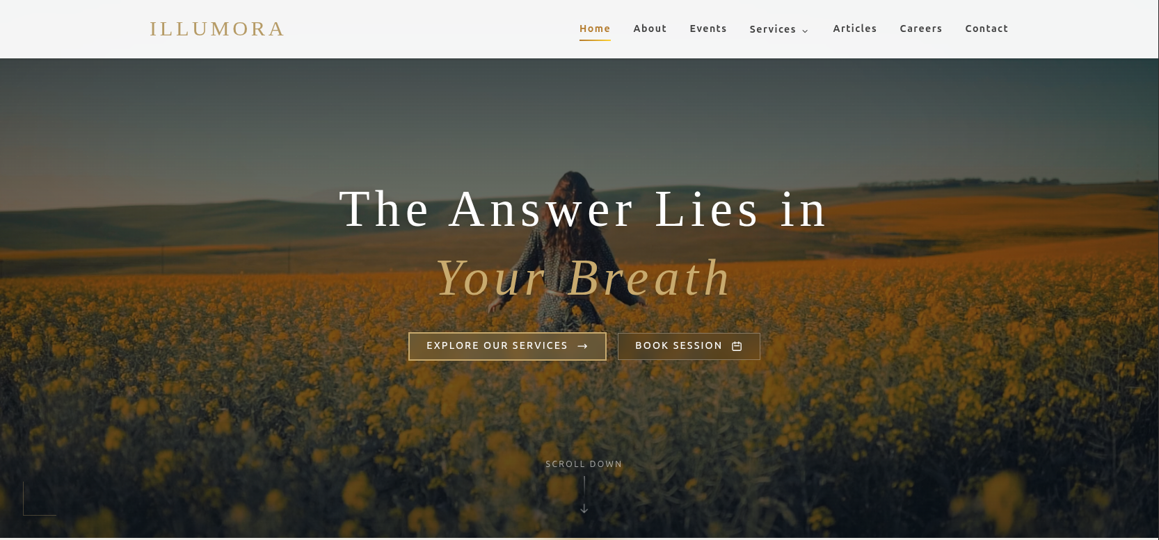 Illumora product screenshot